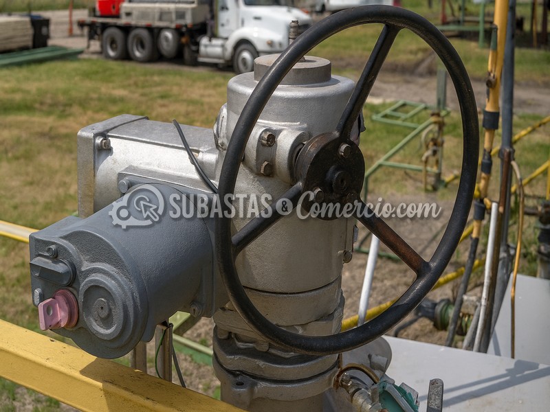 ChatGPT Image 2 dic 2025, 14_56_12.jpg